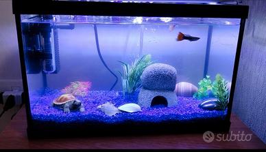 acquario completo di accessori 10L