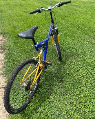Bicicletta sportiva