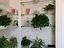 Immagine 7
