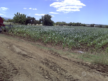 Deposito e Terreno agricolo
