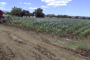 Deposito e Terreno agricolo