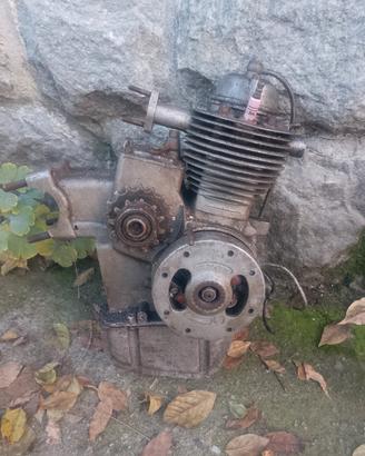 motori motom 