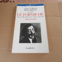 Anche le formiche nel loro piccolo s'incazzano