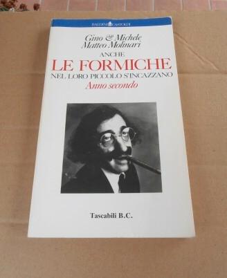 Anche le formiche nel loro piccolo s'incazzano