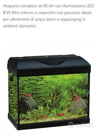 Acquario 85 litri