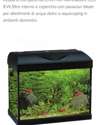 Acquario 85 litri