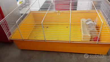 Gabbiette animali piccoli