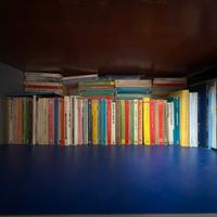 Lotto unico - 118  libri