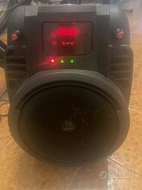 Cassa acustica  con 2 microfoni ad archetto