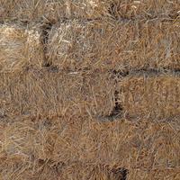 Fieno ballette rettangolari