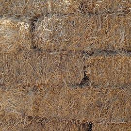 Fieno ballette rettangolari