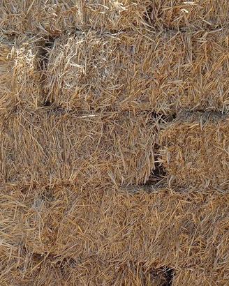 Fieno ballette rettangolari