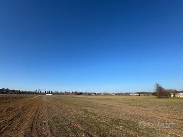 Terreno Agricolo - Gradisca d'Isonzo