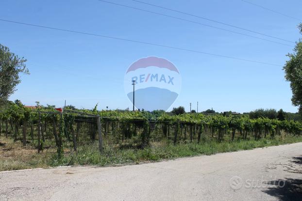 Terreno - Rocca San Giovanni