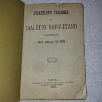 Vocabolario Tascabile del Dialetto Napoletano