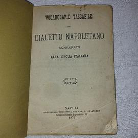 Vocabolario Tascabile del Dialetto Napoletano