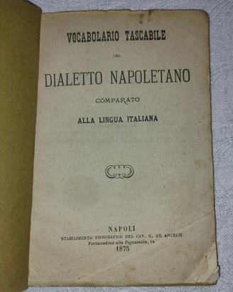 Vocabolario Tascabile del Dialetto Napoletano
