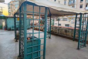 Primo Piano con Terrazza - zona  policlinico