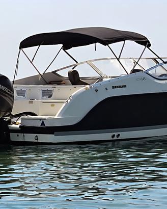 Quicksilver Activ 645 Cruiser (2016)