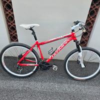 bicicletta 