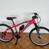 Bicicletta Mtb 24 pollici
