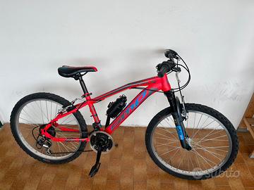 Bicicletta Mtb 24 pollici