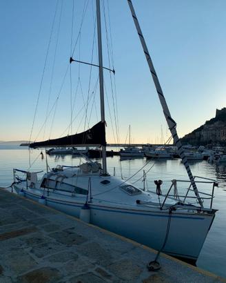 Barca a vela Nytec 28 per regata e famiglia