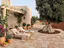 Immagine 3
