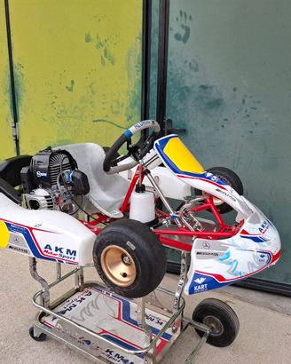 KR puffo come Parolin Delfino