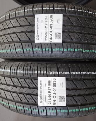 2 Pneumatici 215/60 R17 Evergreen Es82