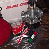 Minarelli Polini Evolution Malossi mhr team 