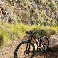 Niner Air 9 Carbon (Upgraded 2024)