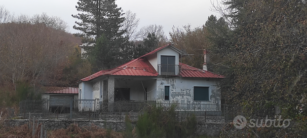 Casa nel bosco Potame Domanico