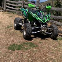 Kawasaki KLX 450 - 2010