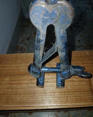 morsa antica