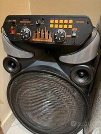 Cassa amplificata portatile