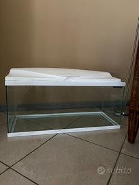 Acquario 80 L