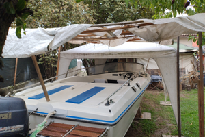 Motoscafo con motore, selva 40/70