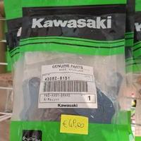 Coppia Pastiglie Freno Kawasaki VERSYS 650/Z900/Z9