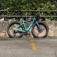 Gravel Carbonio - Banchi Arcadex tg. 53