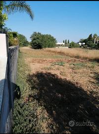 Terreno edificabile