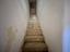 Immagine 13
