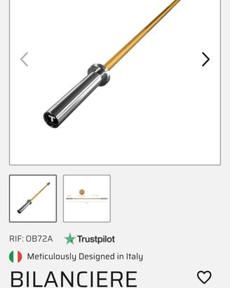 bilanciere tecnico lacertosus 