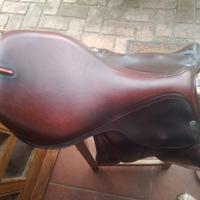 sella  Equipe Carbon