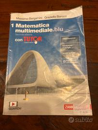 Libri scientifico- matematica multimediale.blu