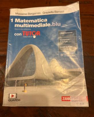 Libri scientifico- matematica multimediale.blu