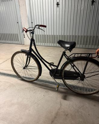 Bici Uomo/Donna/Bambino