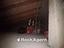 Immagine 15
