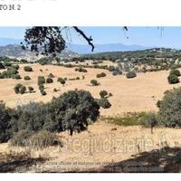 Terreno Agricolo Sarule [A4320565]