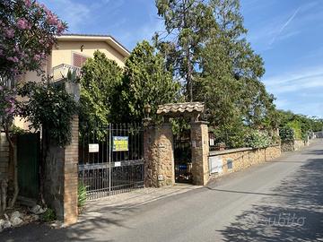 Laboratorio Frascati [FR231VCG]